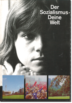 1981